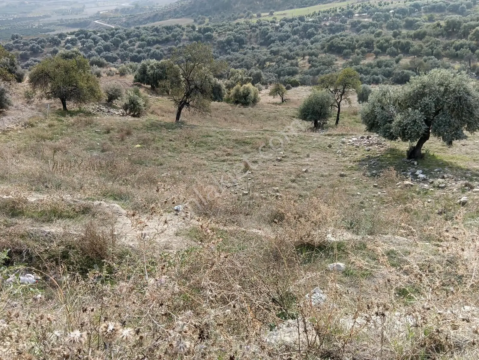 Mersin Akdeniz Hebilli Mahallesi Satılık 2428m2 Arsa — fotoğraf 3