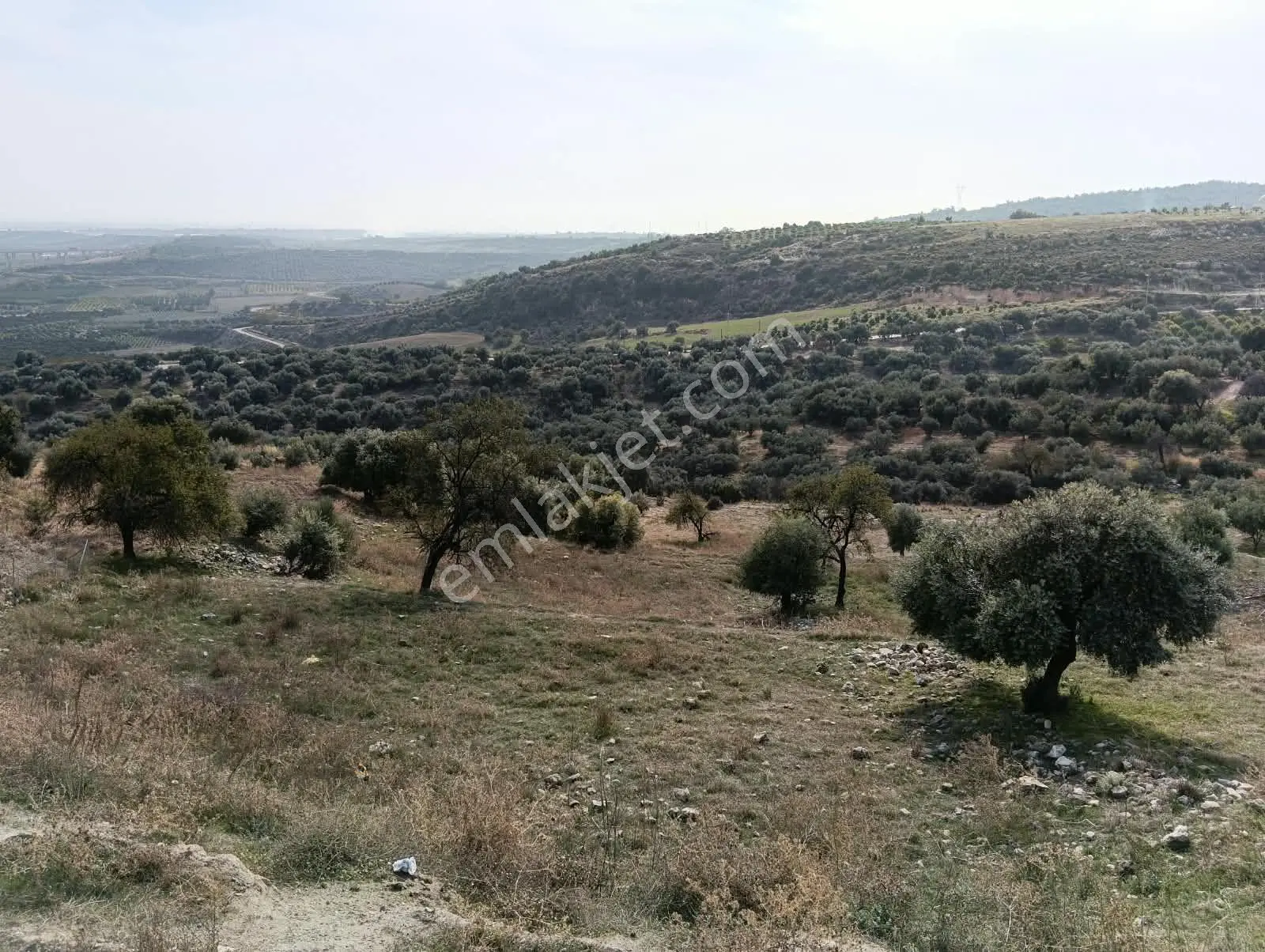 Mersin Akdeniz Hebilli Mahallesi Satılık 2428m2 Arsa — fotoğraf 4