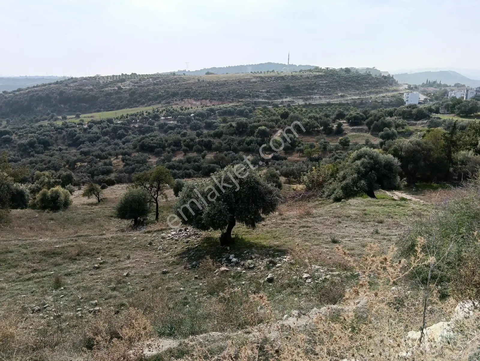 Mersin Akdeniz Hebilli Mahallesi Satılık 2428m2 Arsa — fotoğraf 5