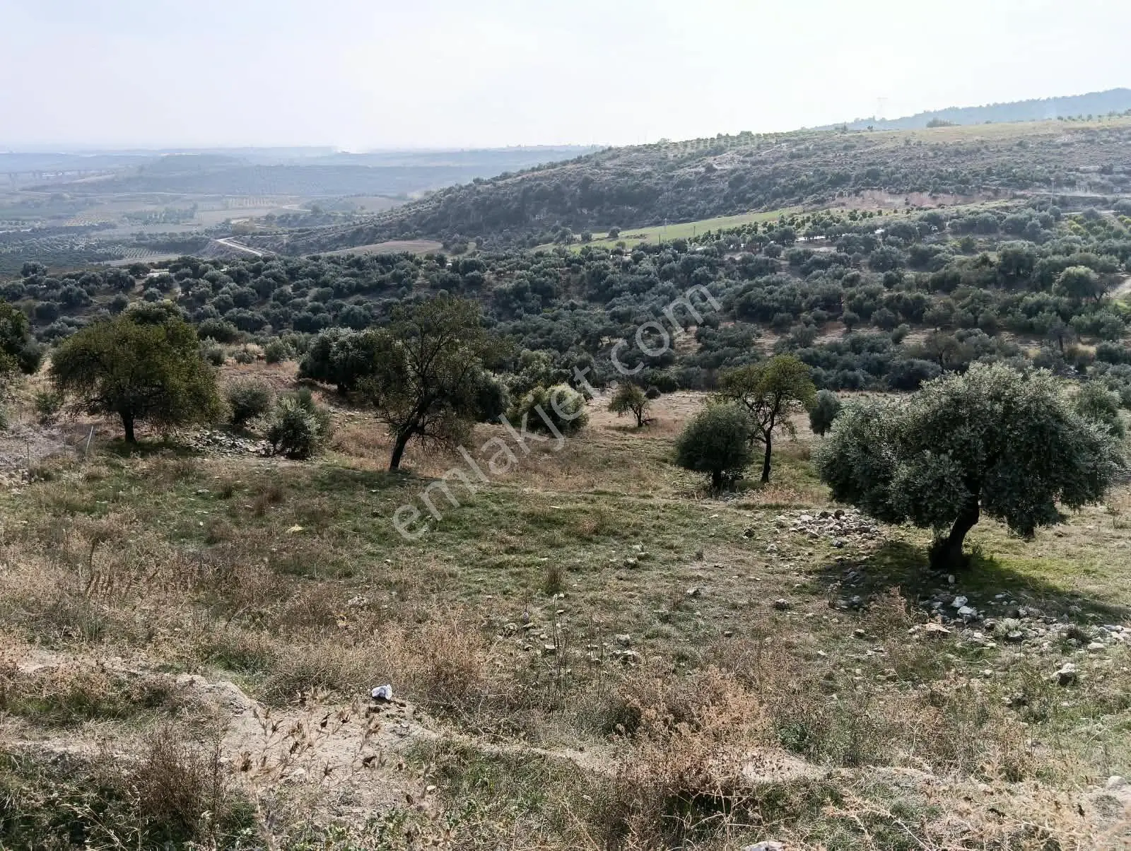Mersin Akdeniz Hebilli Mahallesi Satılık 2428m2 Arsa — fotoğraf 6