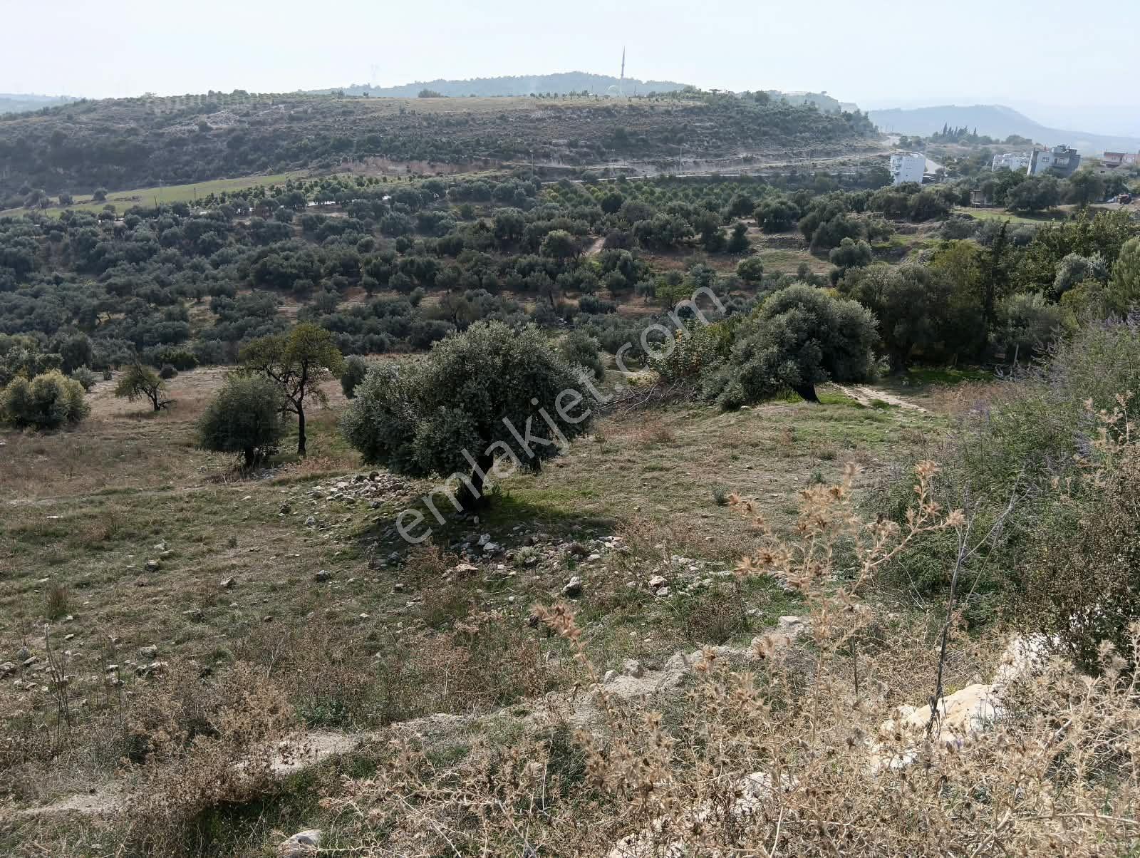 Mersin Akdeniz Hebilli Mahallesi Satılık 2428m2 Arsa — fotoğraf 7