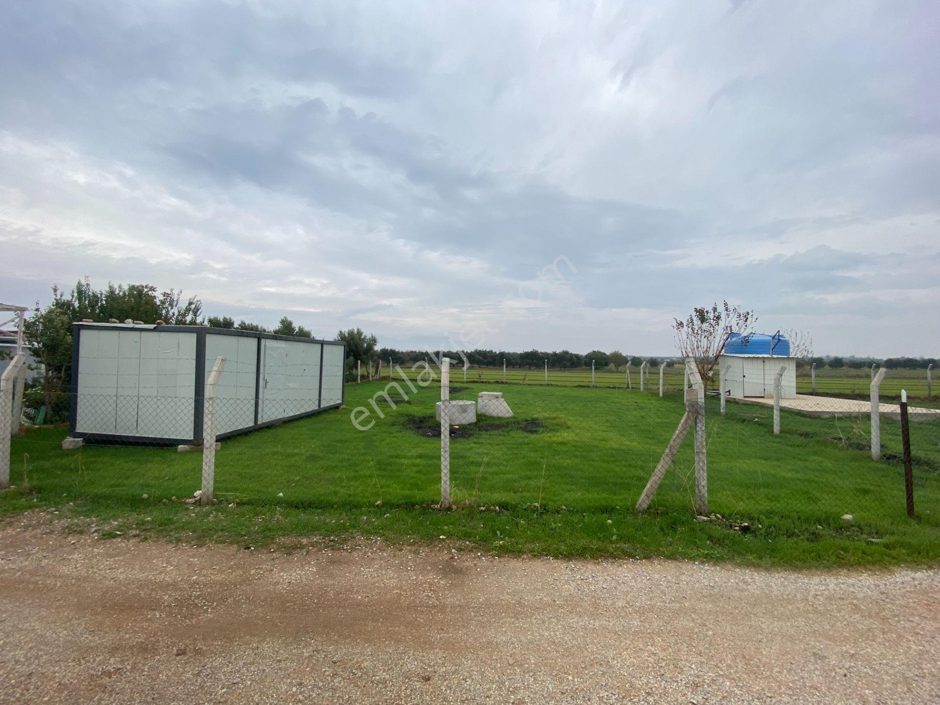 Mendereste İmar Barışlı Net 500 M2 (açıklamayı Okuyun) — fotoğraf 6