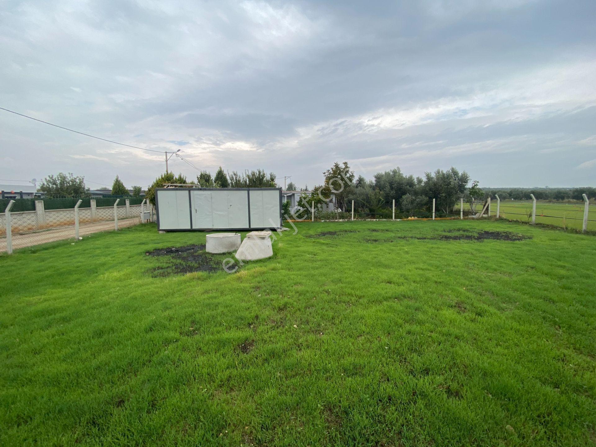 Mendereste İmar Barışlı Net 500 M2 (açıklamayı Okuyun) — fotoğraf 14
