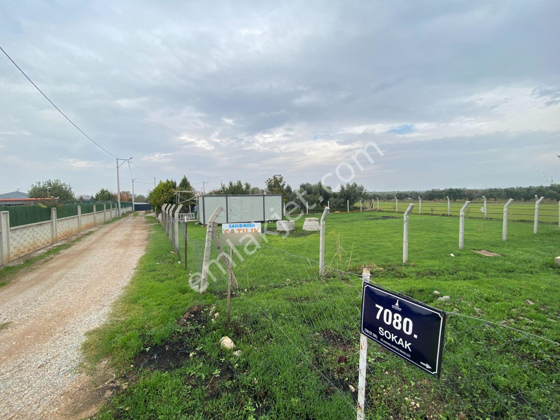 Mendereste İmar Barışlı Net 500 M2 (açıklamayı Okuyun) — fotoğraf 17