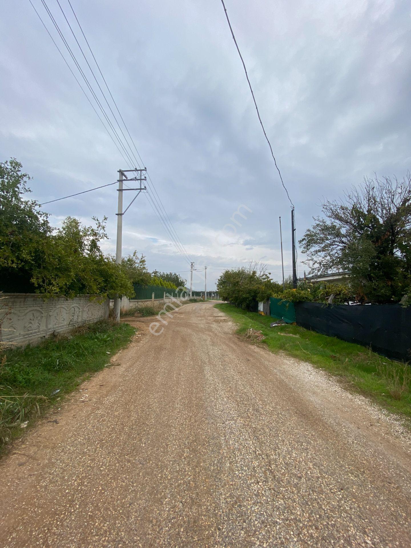 Mendereste İmar Barışlı Net 500 M2 (açıklamayı Okuyun) — fotoğraf 18