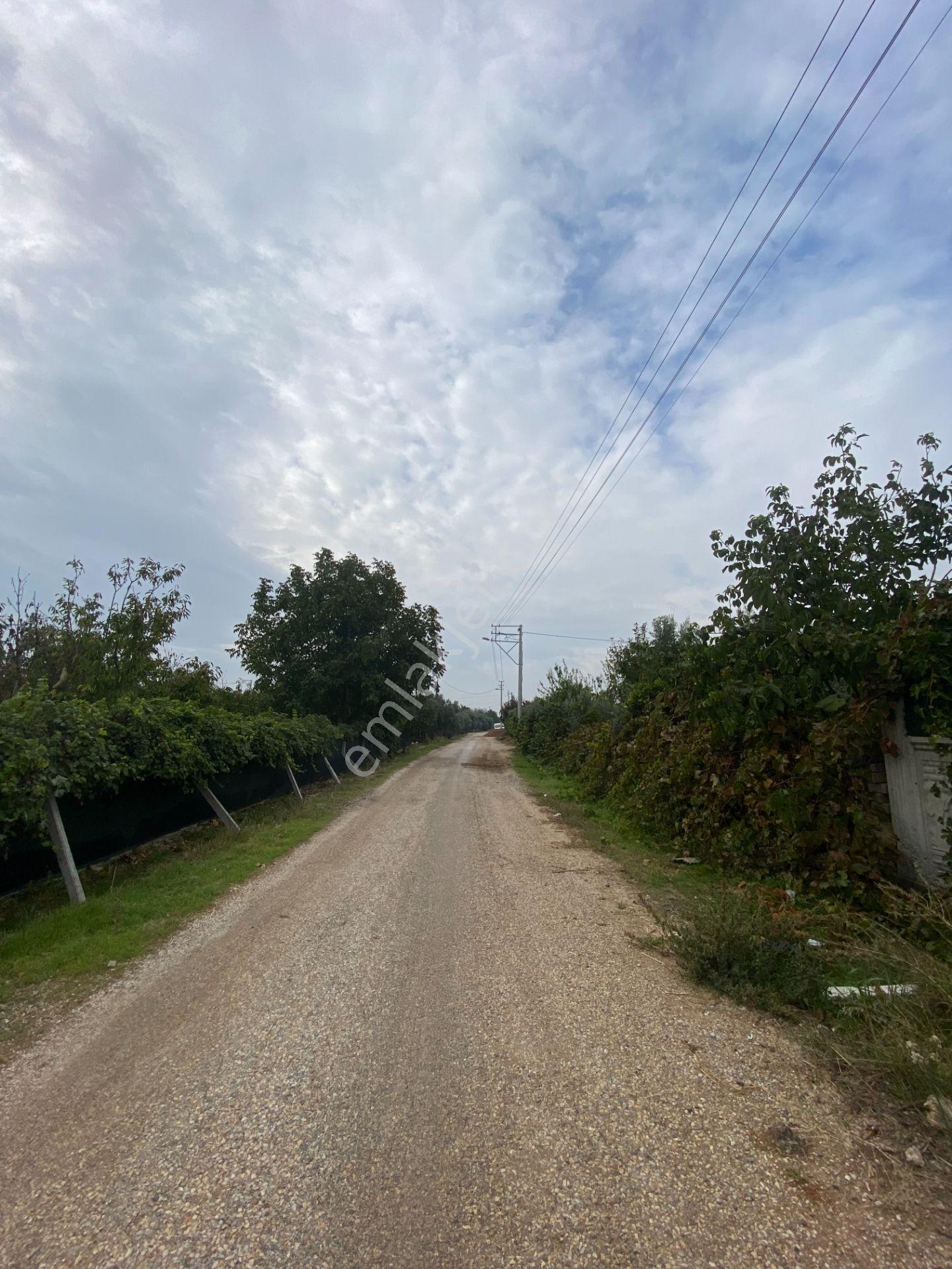 Mendereste İmar Barışlı Net 500 M2 (açıklamayı Okuyun) — fotoğraf 19