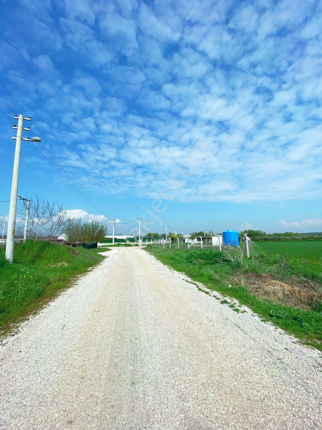 Mendereste İmar Barışlı Net 500 M2 (açıklamayı Okuyun) — fotoğraf 29