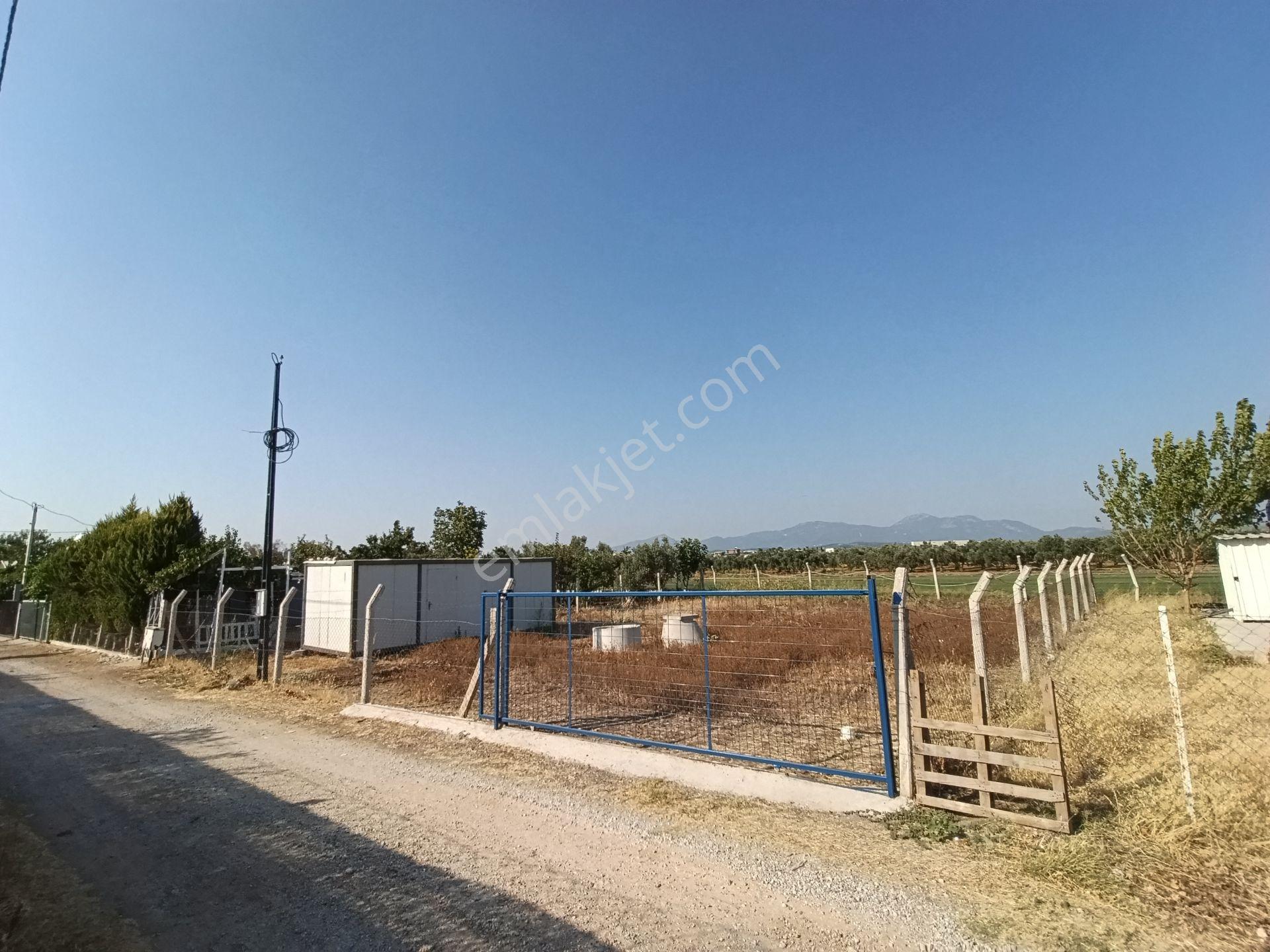 Mendereste İmar Barışlı Net 500 M2 (açıklamayı Okuyun) — fotoğraf 32