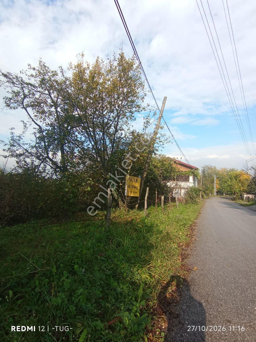 Düzce Merkez Golormani Köyünde Satılık Arsa
