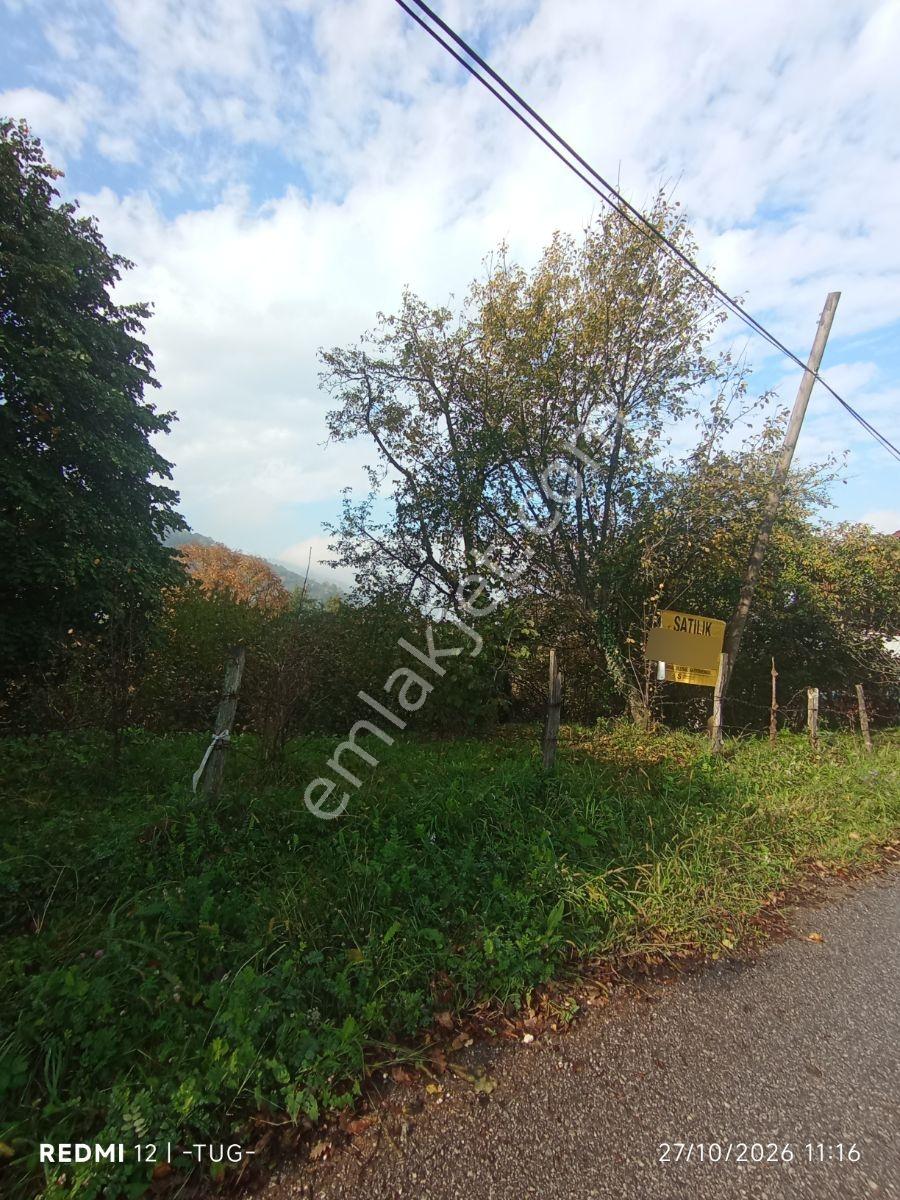 Düzce Merkez Golormani Köyünde Satılık Arsa — fotoğraf 2