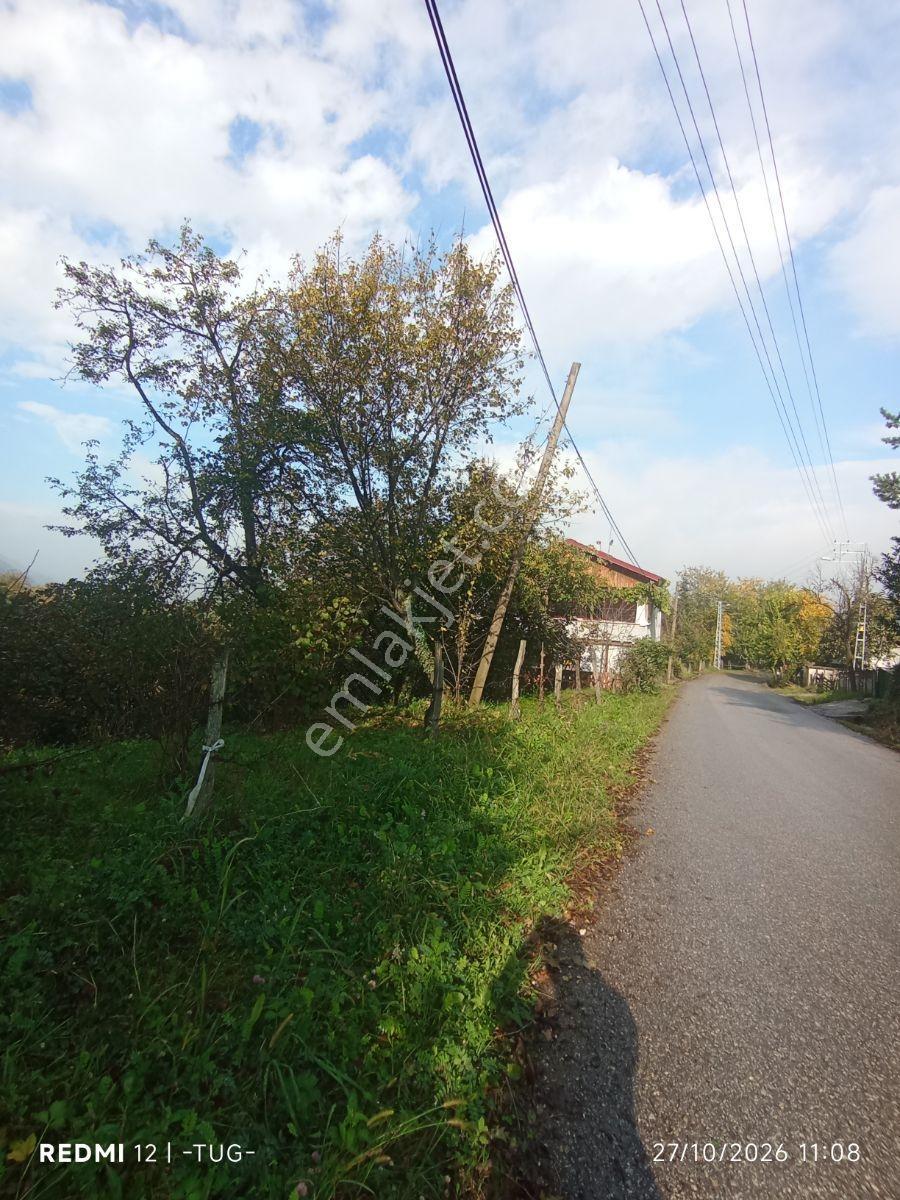 Düzce Merkez Golormani Köyünde Satılık Arsa — fotoğraf 3