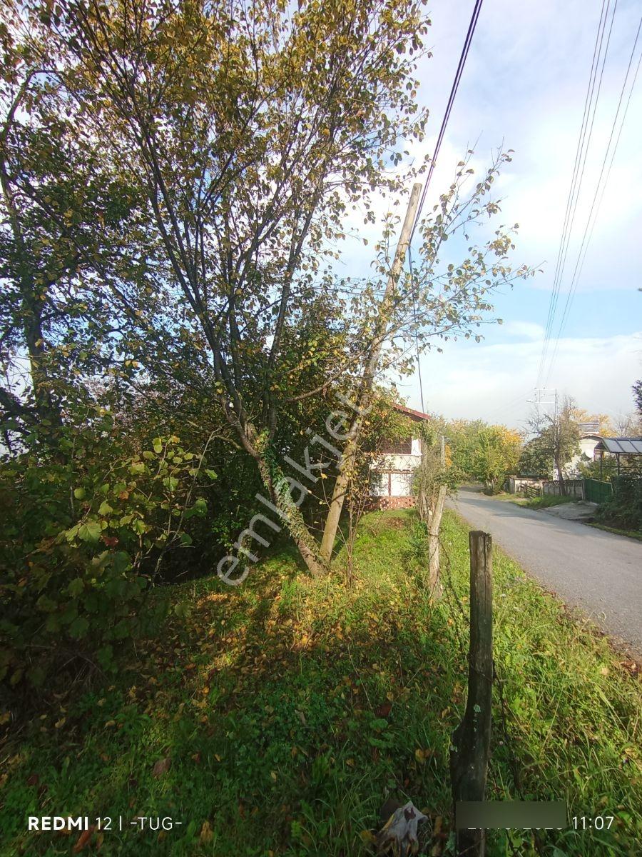 Düzce Merkez Golormani Köyünde Satılık Arsa — fotoğraf 4