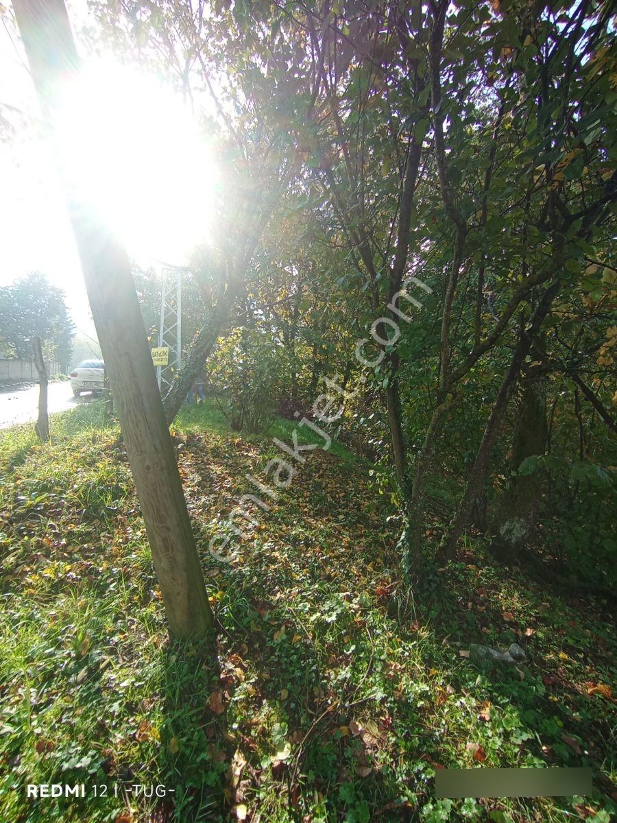 Düzce Merkez Golormani Köyünde Satılık Arsa — fotoğraf 5