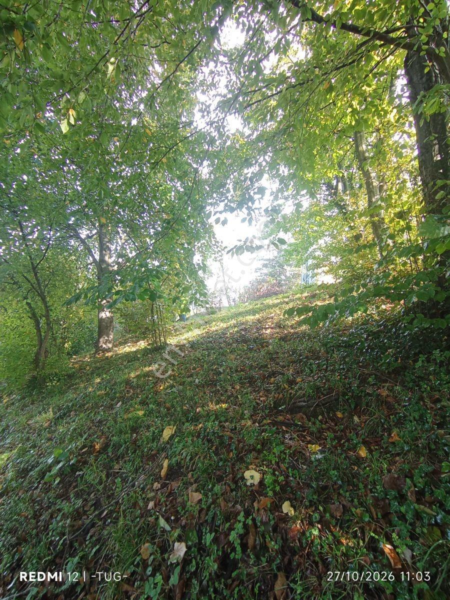 Düzce Merkez Golormani Köyünde Satılık Arsa — fotoğraf 19