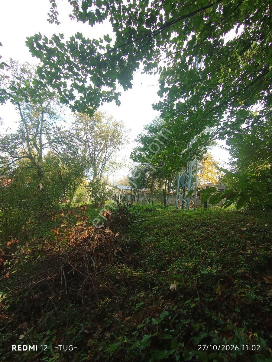 Düzce Merkez Golormani Köyünde Satılık Arsa — fotoğraf 22
