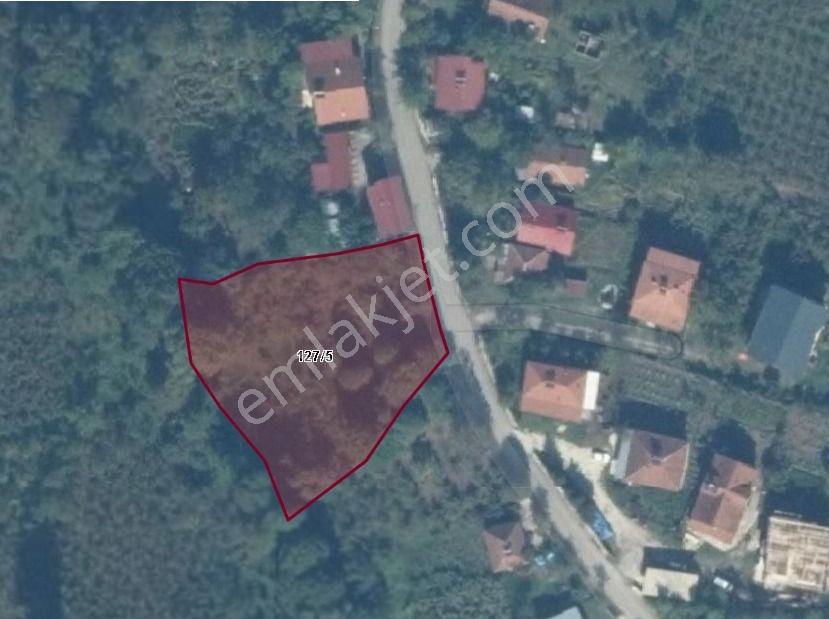 Düzce Merkez Golormani Köyünde Satılık Arsa — fotoğraf 25