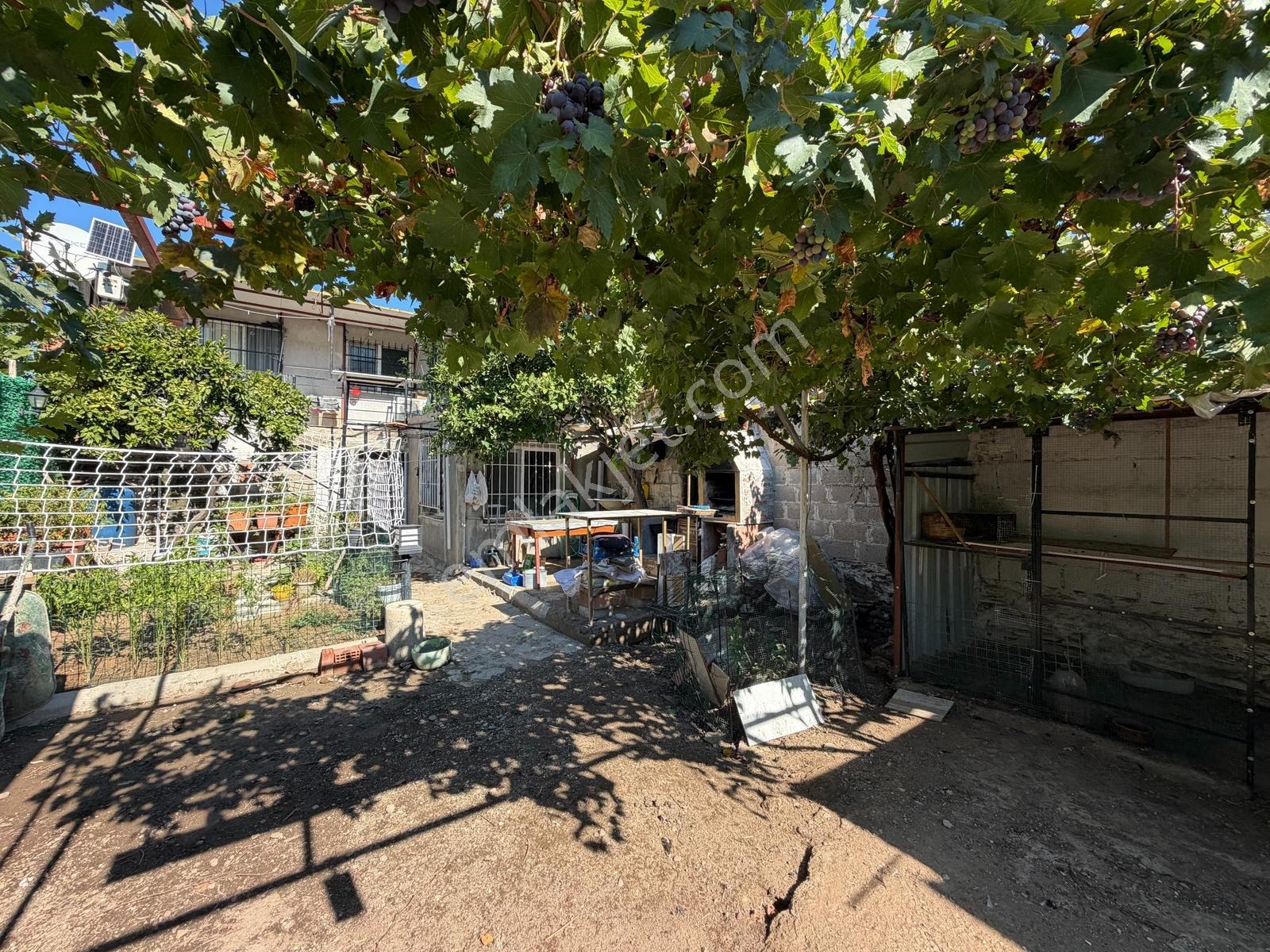 Tire Çiniyeri'nde Satılık 196 M² Bahçeli Köy Evi Araç Takaslı — fotoğraf 10