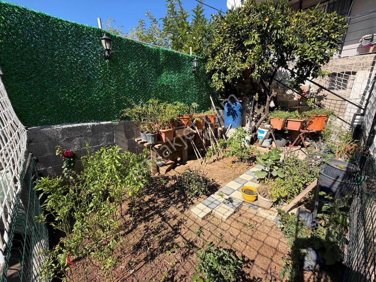 Tire Çiniyeri'nde Satılık 196 M² Bahçeli Köy Evi Araç Takaslı — fotoğraf 14