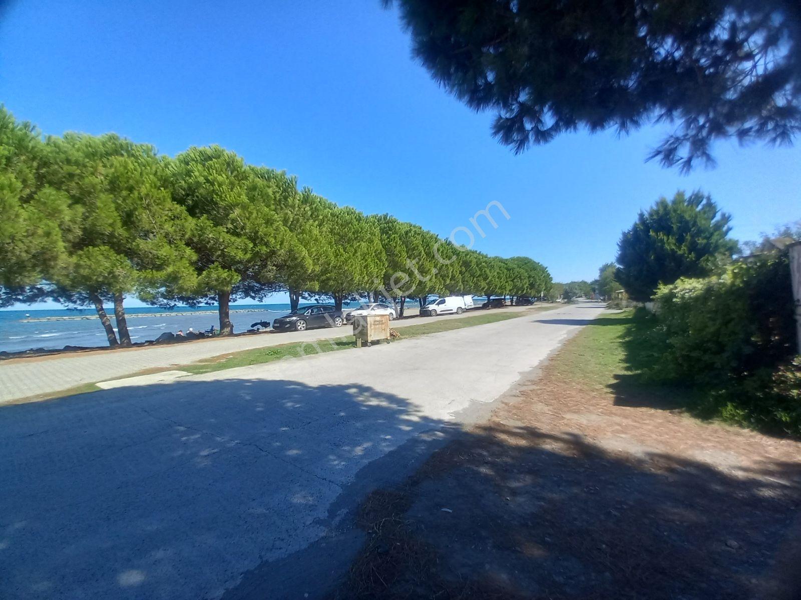 Erlife Yeg Den Çatalçam Da Denize Sıfır Satılık Villa — fotoğraf 2