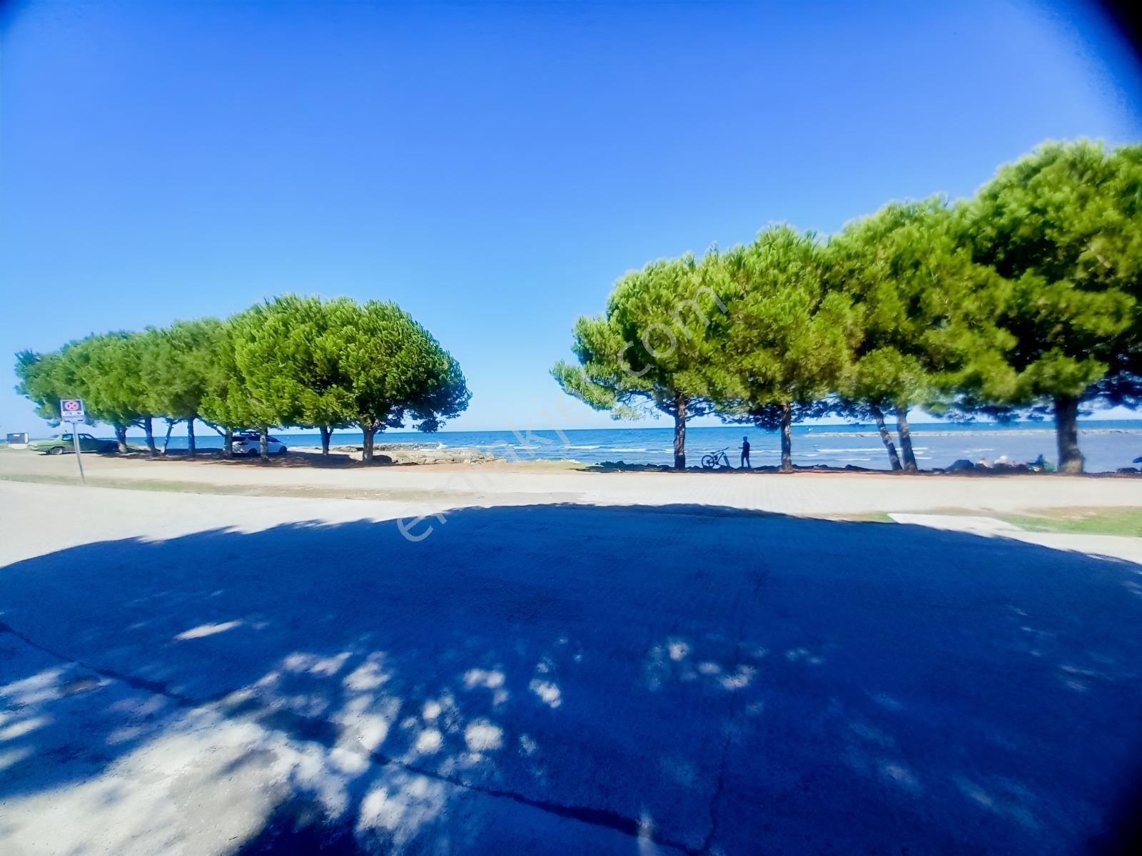 Erlife Yeg Den Çatalçam Da Denize Sıfır Satılık Villa — fotoğraf 3