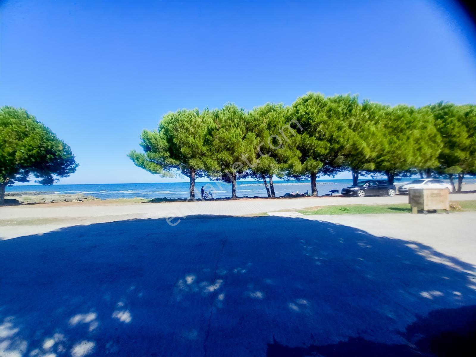 Erlife Yeg Den Çatalçam Da Denize Sıfır Satılık Villa — fotoğraf 5