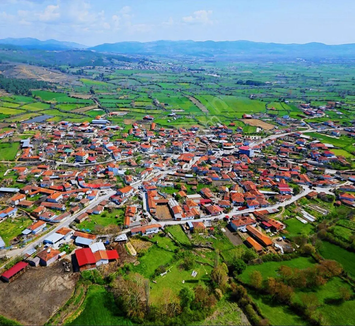 Balcity'den Çanakkale Yenice’de Kaz Dağları Eteğinde, Oto Yola Cepheli 9 Dönüm Bakımlı Tarla — fotoğraf 2