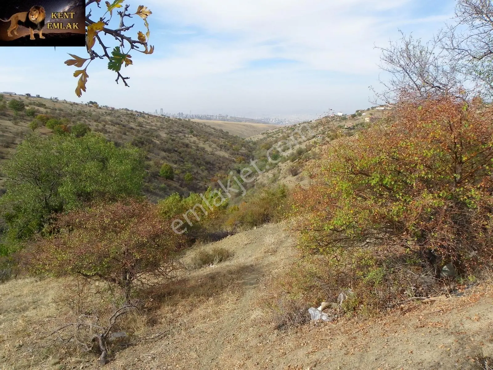 Kent Emlaktan Yakup Abdalda Ana Yola Yakın 217 Metre Satılık Arsa