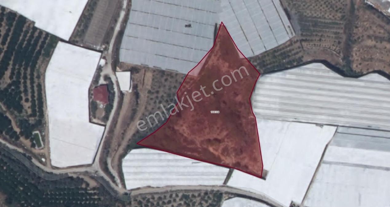 Alanya Uğrakta Fırsat Fiyatlı Tarla! Yatırımcısına Özel 8408m2 — fotoğraf 3