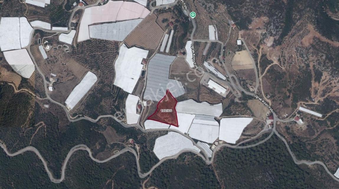 Alanya Uğrakta Fırsat Fiyatlı Tarla! Yatırımcısına Özel 8408m2 — fotoğraf 4