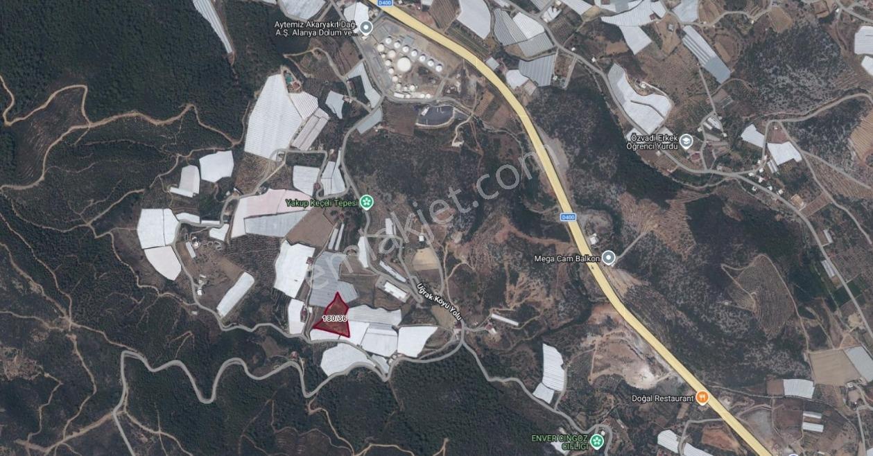 Alanya Uğrakta Fırsat Fiyatlı Tarla! Yatırımcısına Özel 8408m2 — fotoğraf 5