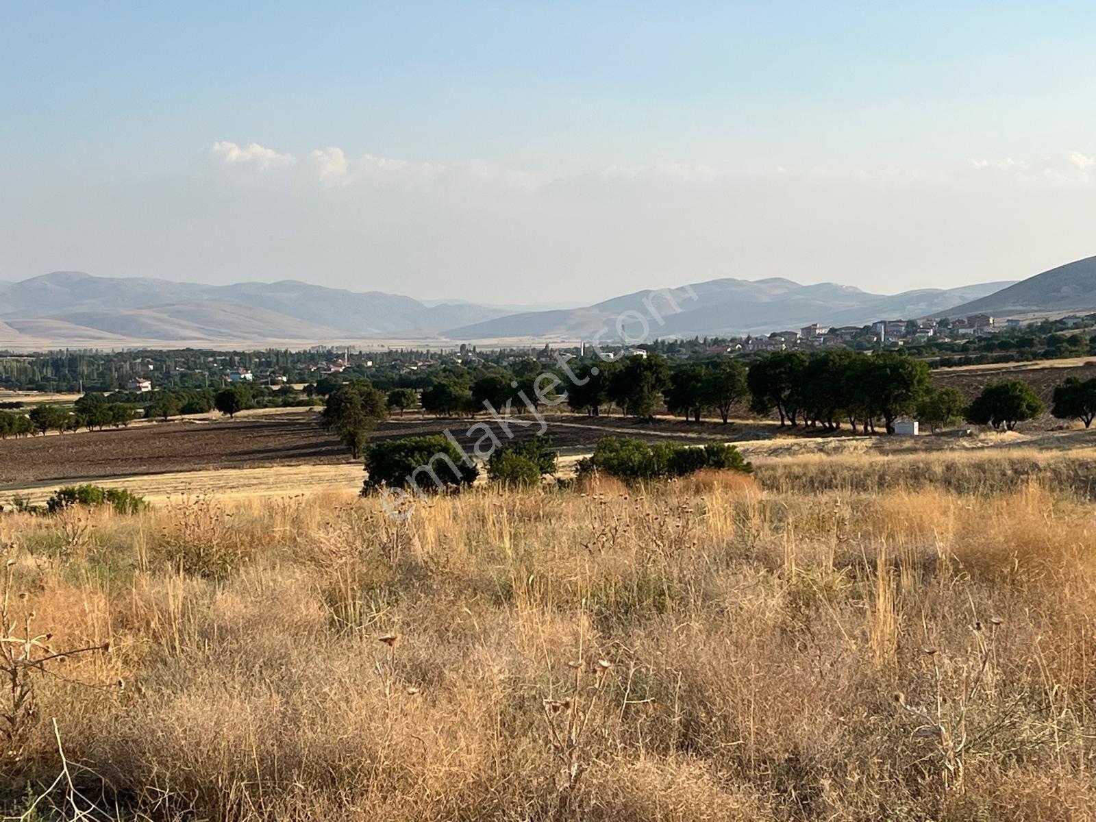 Haydarlı - Çardak'Ta Satılık Yatırımlık Arazi