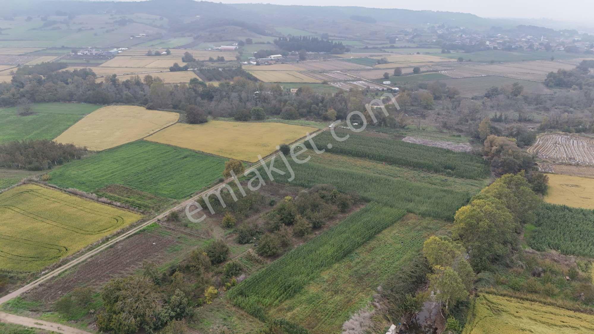 Biga Hacıköy’de 1.180 M² Satılık Fırsat Arazi — fotoğraf 3