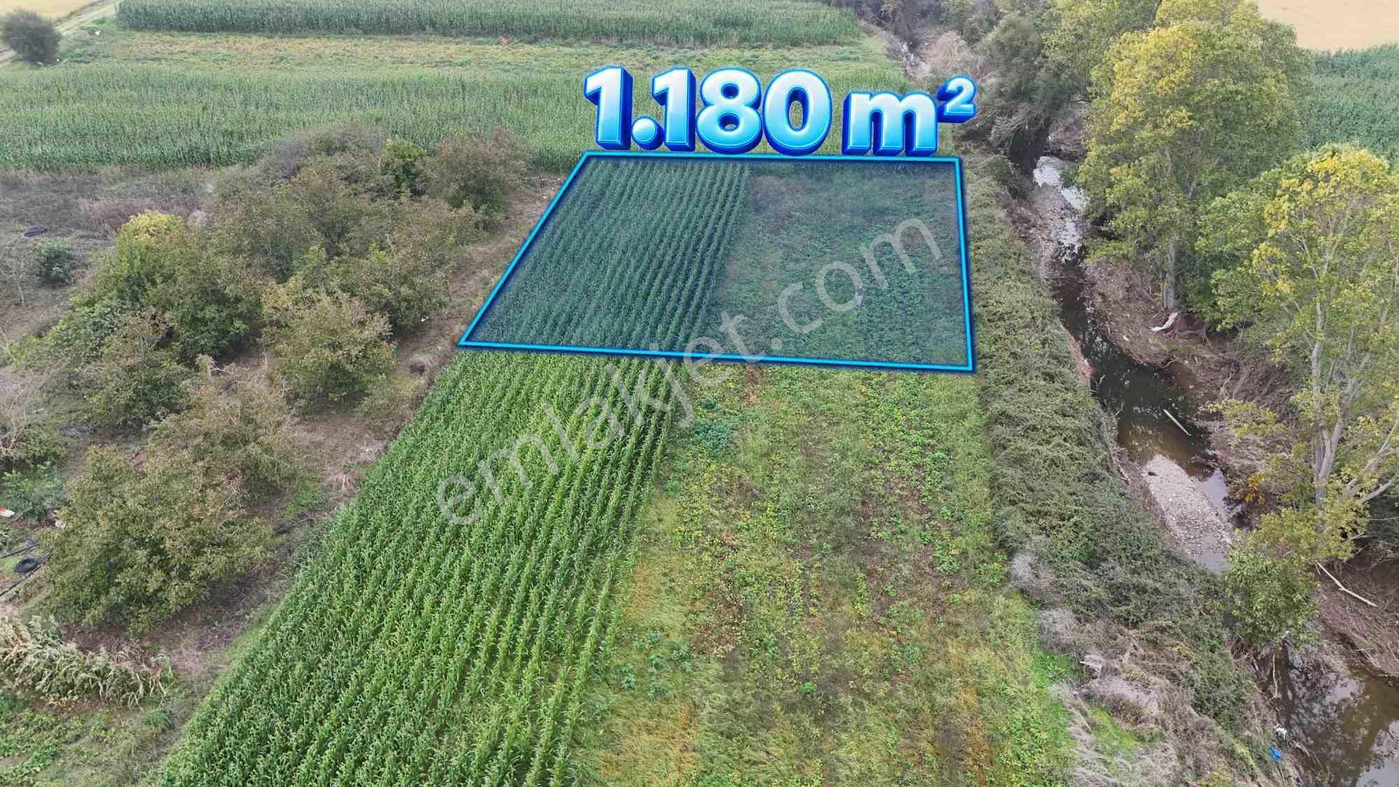 Biga Hacıköy’de 1.180 M² Satılık Fırsat Arazi — fotoğraf 4