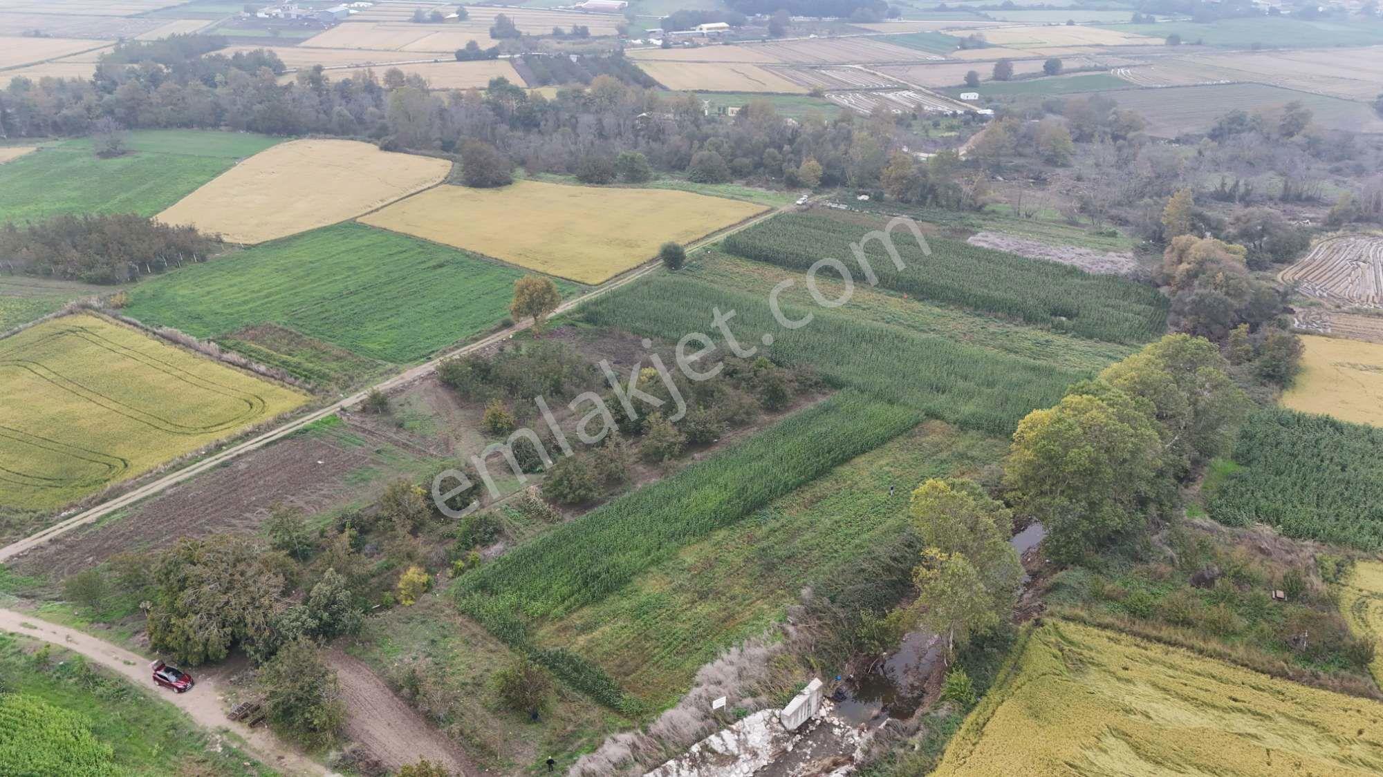 Biga Hacıköy’de 1.180 M² Satılık Fırsat Arazi — fotoğraf 7