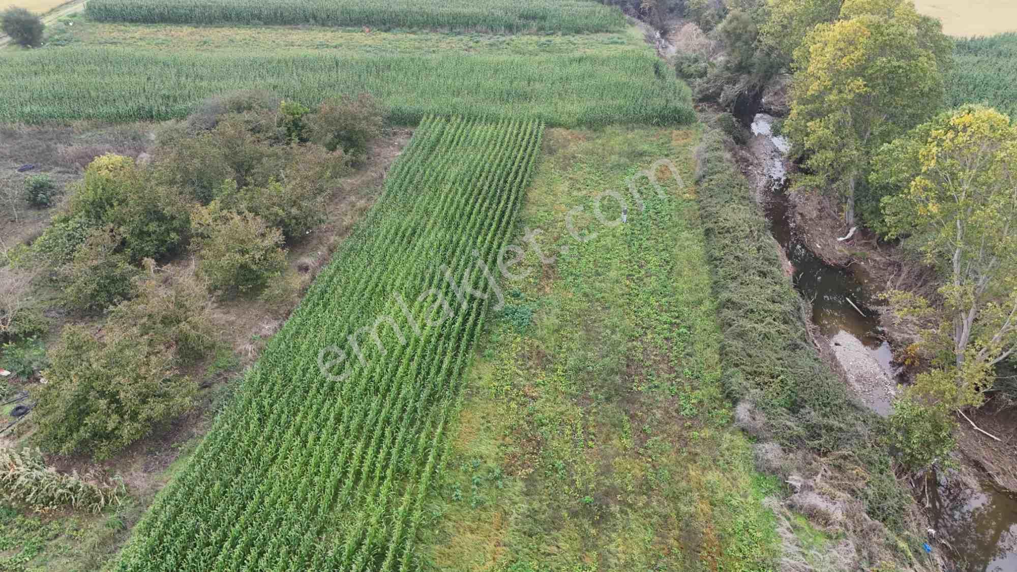 Biga Hacıköy’de 694 M² Satılık Fırsat Arazi — fotoğraf 5