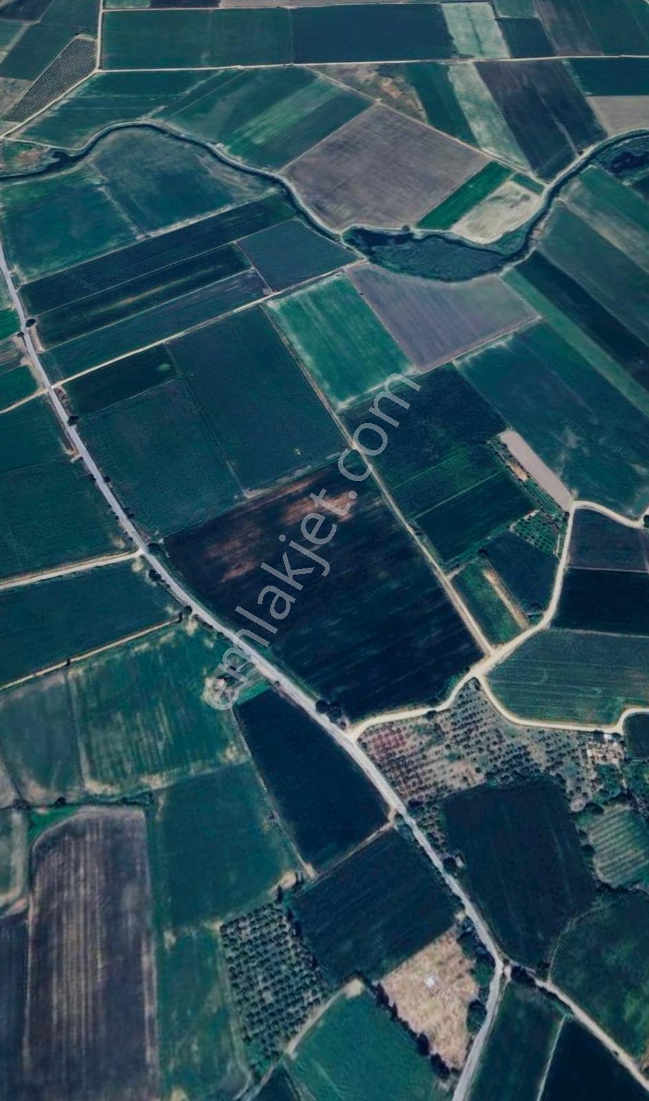 Aydın Söke Çalışlı Mah. Yola Sıfır 52.339 M² Satılık Tarla — fotoğraf 4