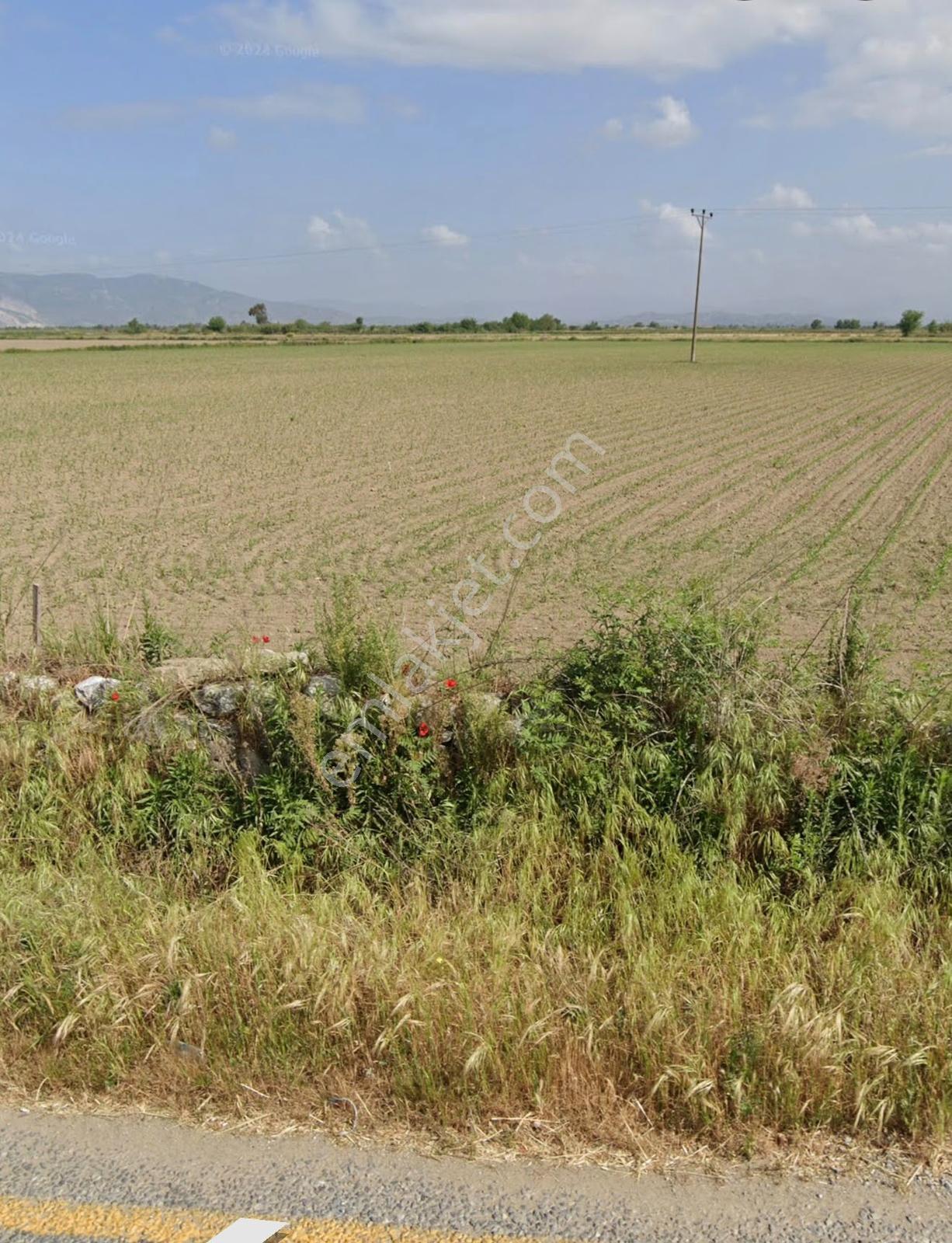 Aydın Söke Çalışlı Mah. Yola Sıfır 52.339 M² Satılık Tarla — fotoğraf 7