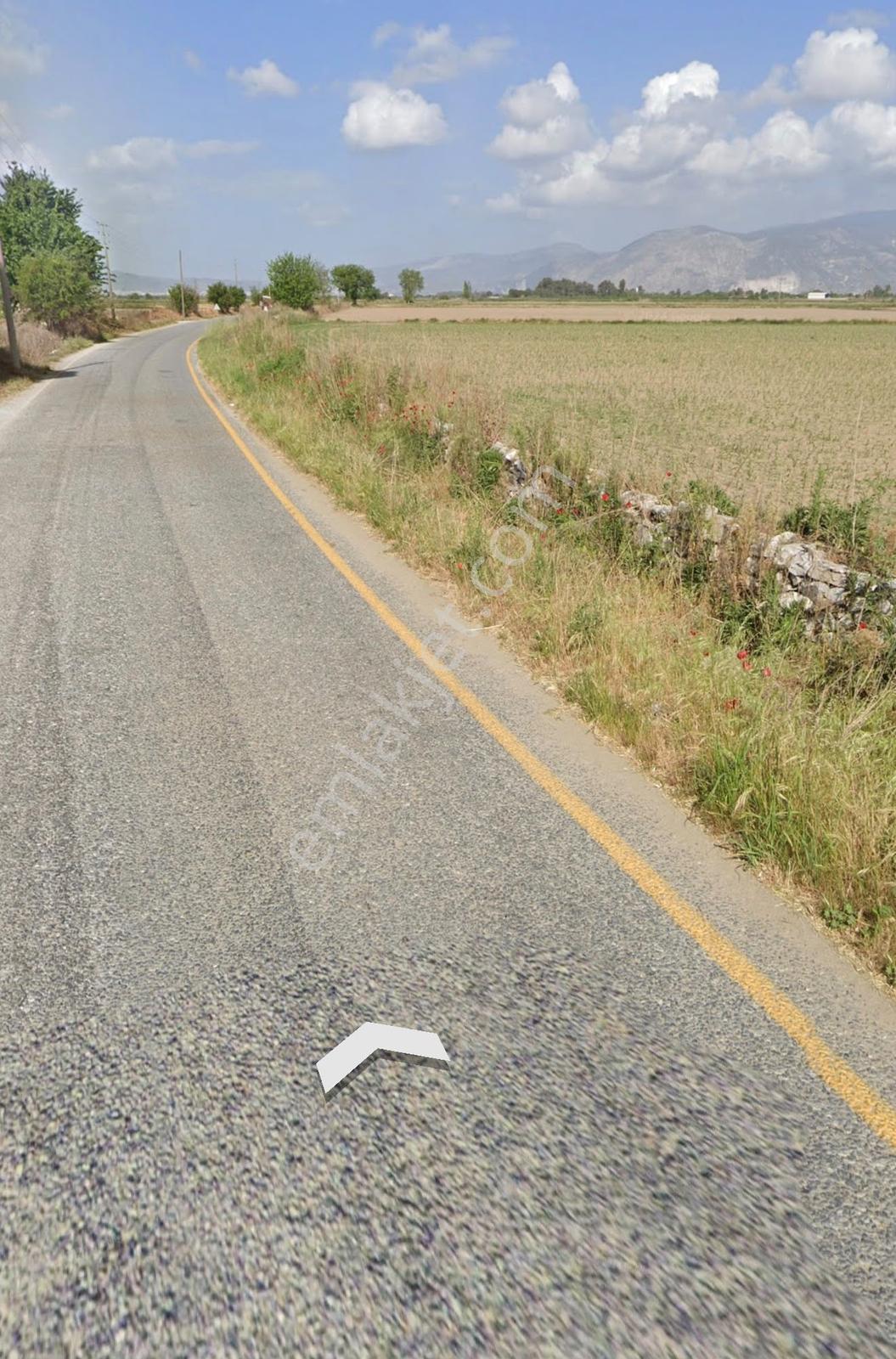 Aydın Söke Çalışlı Mah. Yola Sıfır 52.339 M² Satılık Tarla — fotoğraf 8