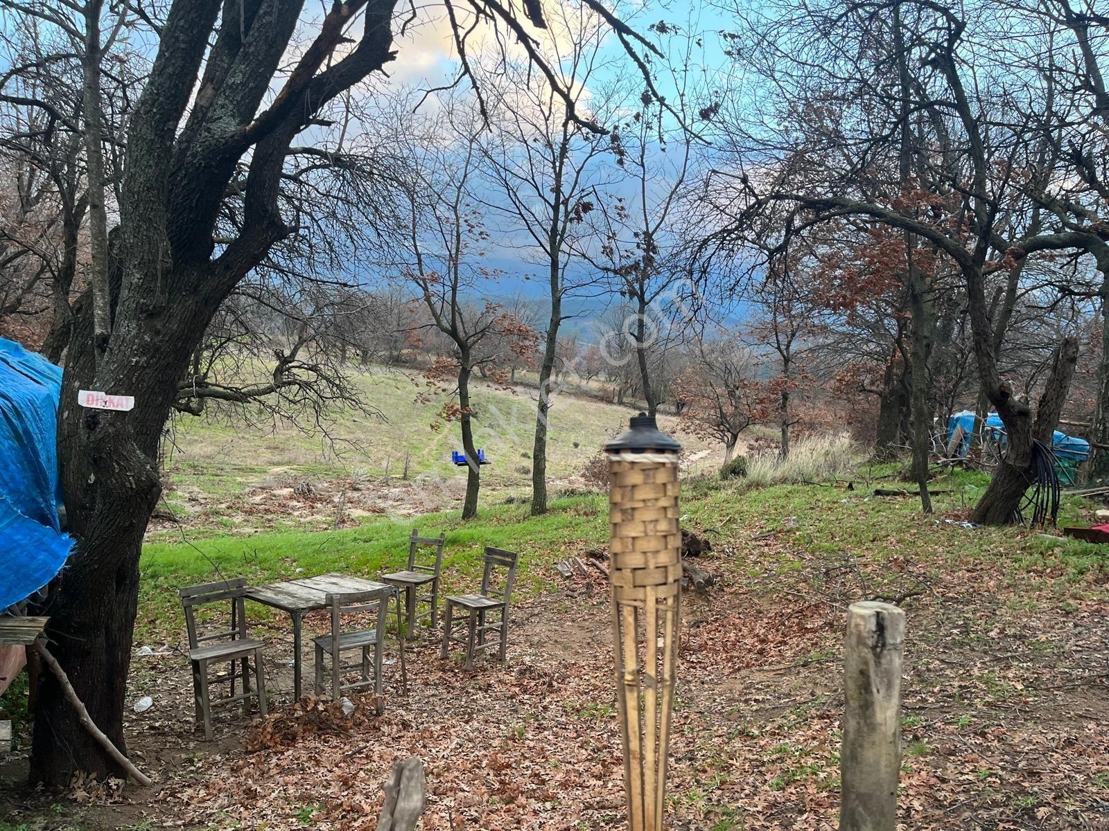 Köselerde Fırsat Arsa Takaslı