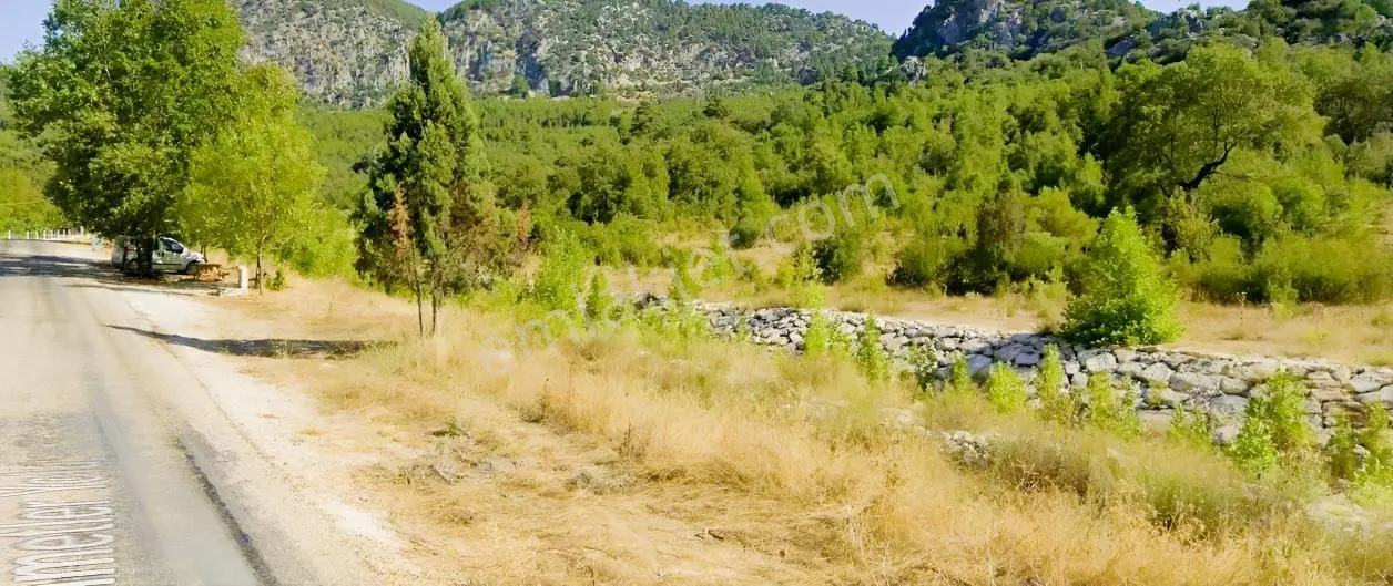 Satılık 8 Dönüm Tarla Sütçüler Boğazköy Isparta