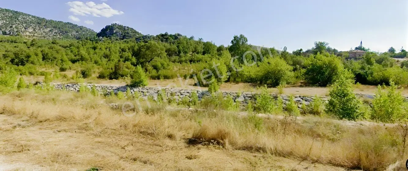 Satılık 8 Dönüm Tarla Sütçüler Boğazköy Isparta — fotoğraf 5