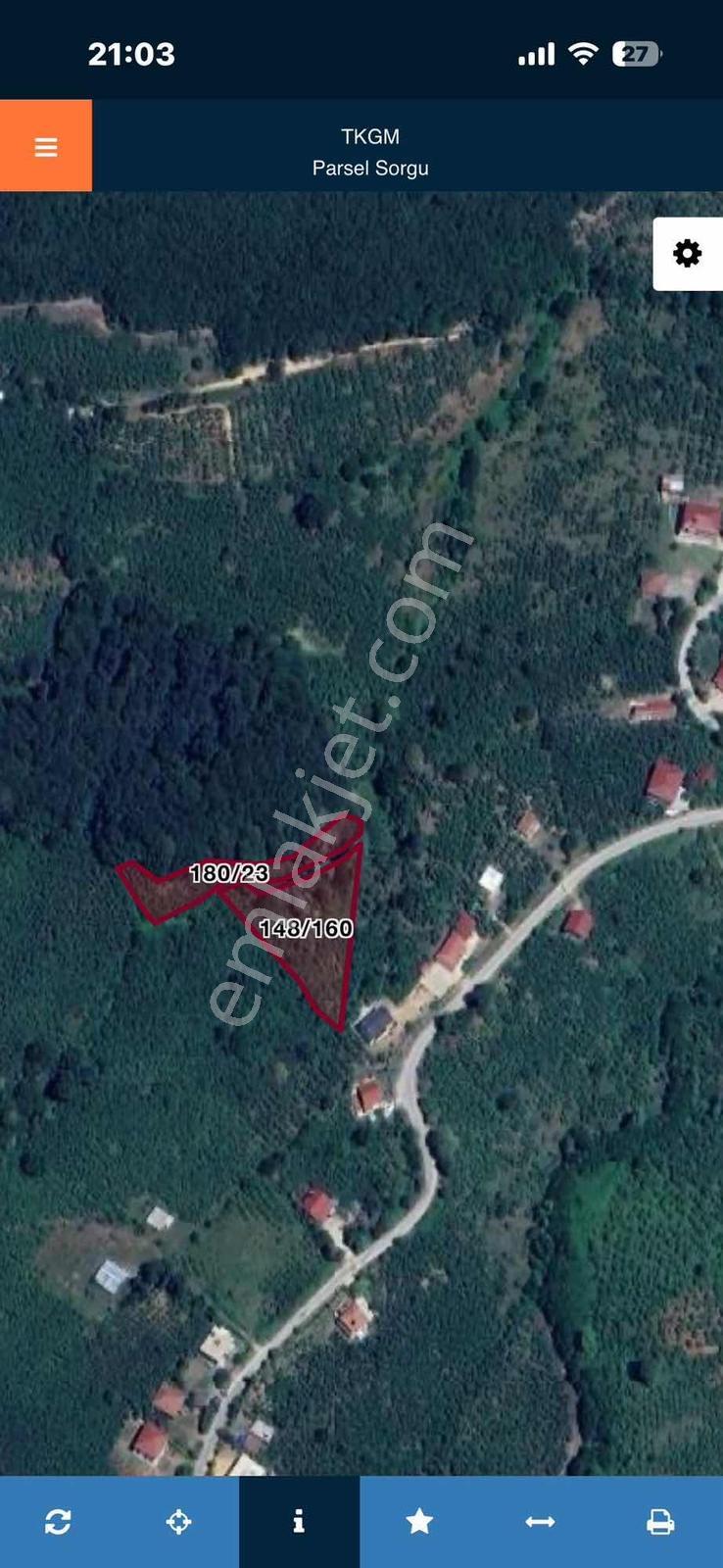 Sakarya Karapürçek Mecidiye Köyün De Fındık Bahçesi — fotoğraf 2
