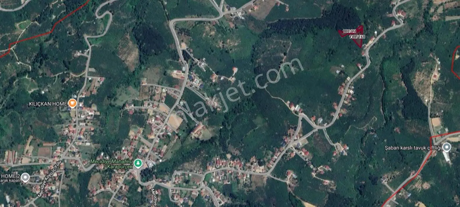 Sakarya Karapürçek Mecidiye Köyün De Fındık Bahçesi — fotoğraf 5