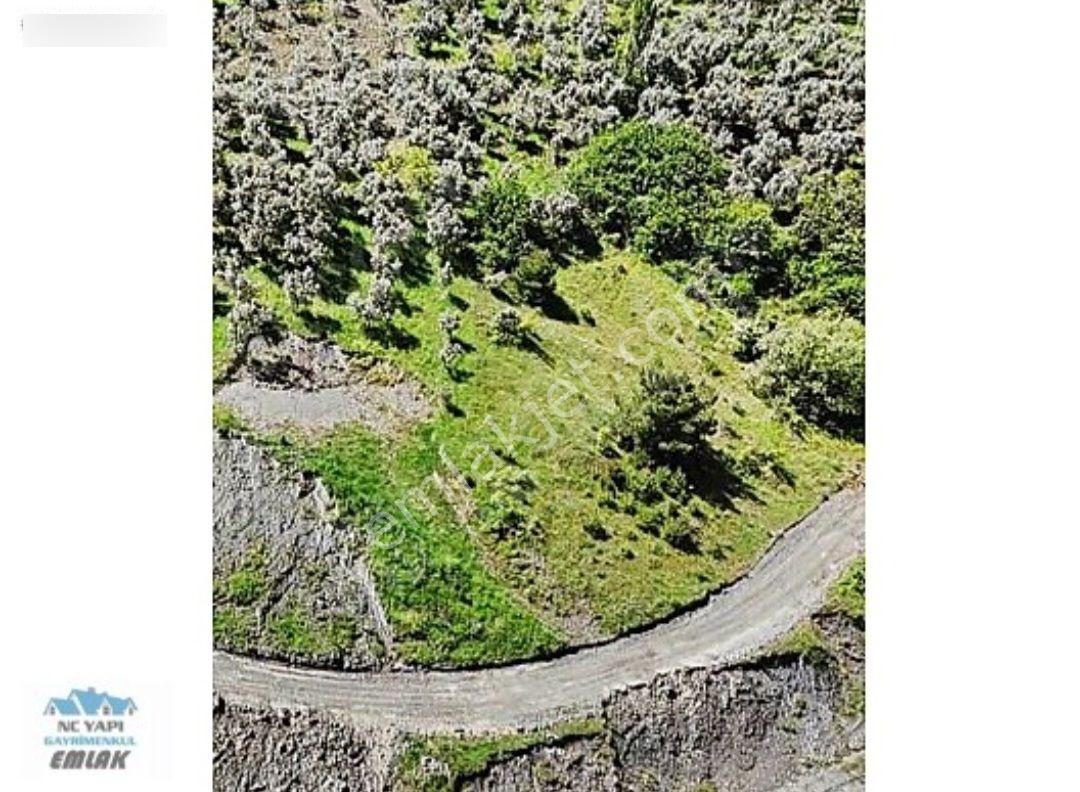 İznik Göllüce'de Yola Cephe, Göl Yakınında Satılık 3.406 M² — fotoğraf 2