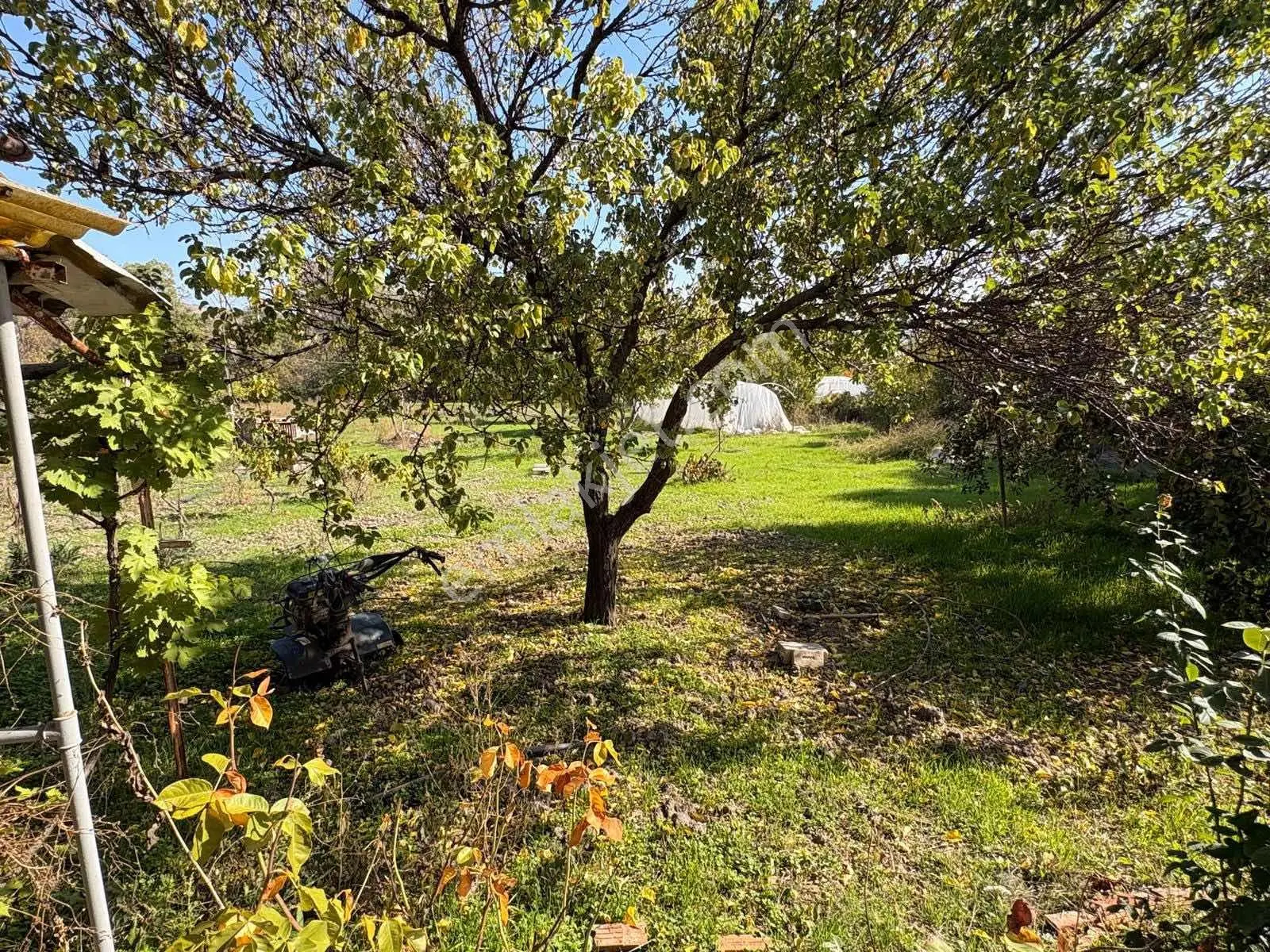 Ankara Kalecik Satılık Arsa Ve 2 Katlı Bahçe Evi — fotoğraf 15