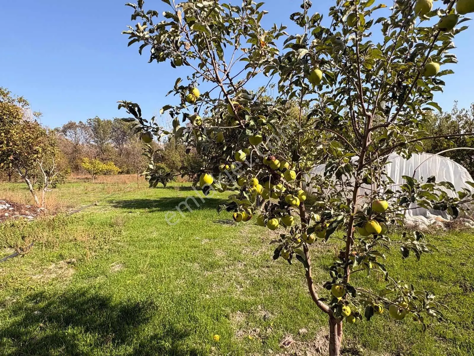 Ankara Kalecik Satılık Arsa Ve 2 Katlı Bahçe Evi — fotoğraf 18