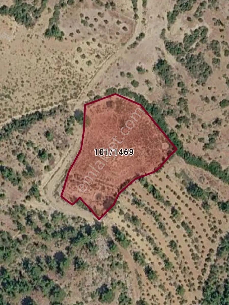 Mersin-aydıncık+duruhan'da Satılık 23.444 M² Tarla — fotoğraf 5