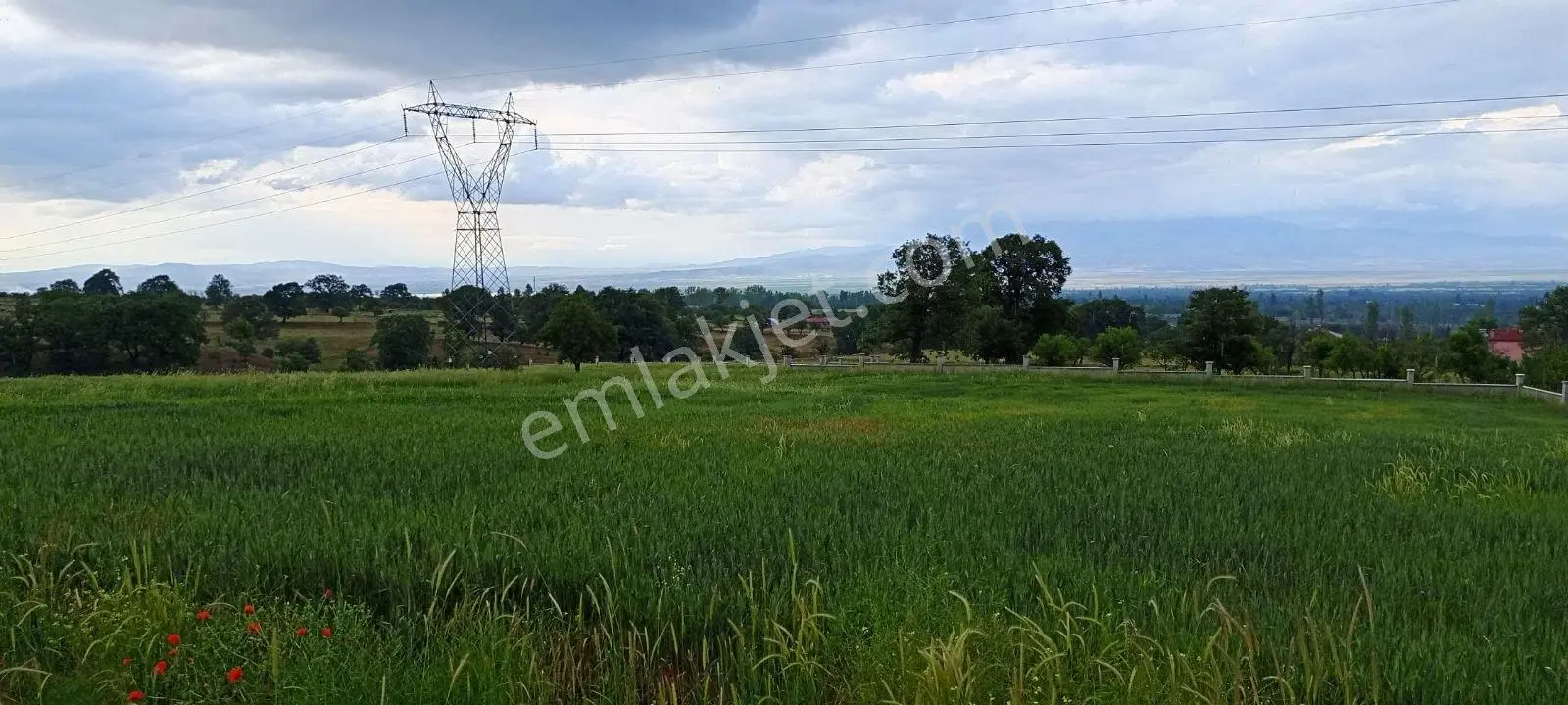 Afyon Prestij Gayrimenkulden Sultandağı Yakasenek Satılık Arsa — fotoğraf 5