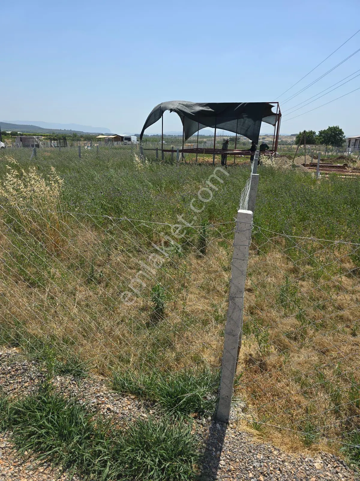 Menderes Oğlananası'nda Homeros Kooperatifi 125 Nolu 245 M² Muvafakatnameli Satılık Hisse — fotoğraf 15