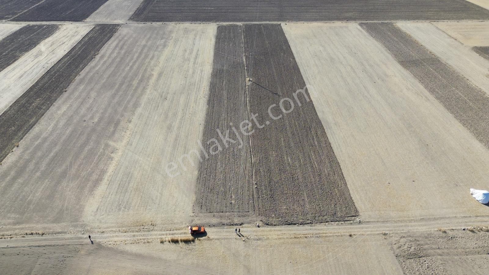 Serinhisar Cumhuriyet Mah. Ana Yola Yakın 4.154 M² Satılık Tarla — fotoğraf 3